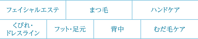 美顔　まつ毛　ハンドケア　くびれ・ドレスライン　レッグ・足元　背中　むだ毛ケア