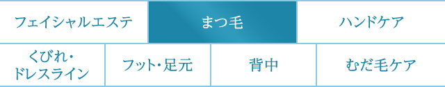 美顔　まつ毛　ハンドケア　くびれ・ドレスライン　レッグ・足元　背中　むだ毛ケア