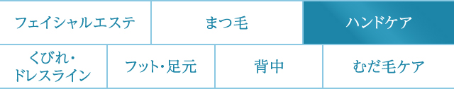 美顔　まつ毛　ハンドケア　くびれ・ドレスライン　レッグ・足元　背中　むだ毛ケア